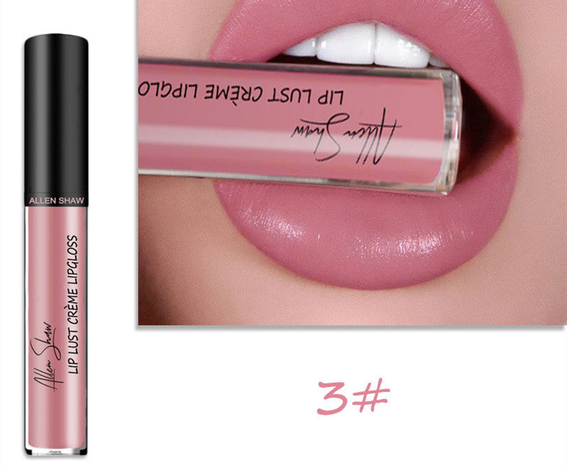 Silky Cream Lip Gloss – Cross-Border Exclusive 3 Color Infinite Avenue