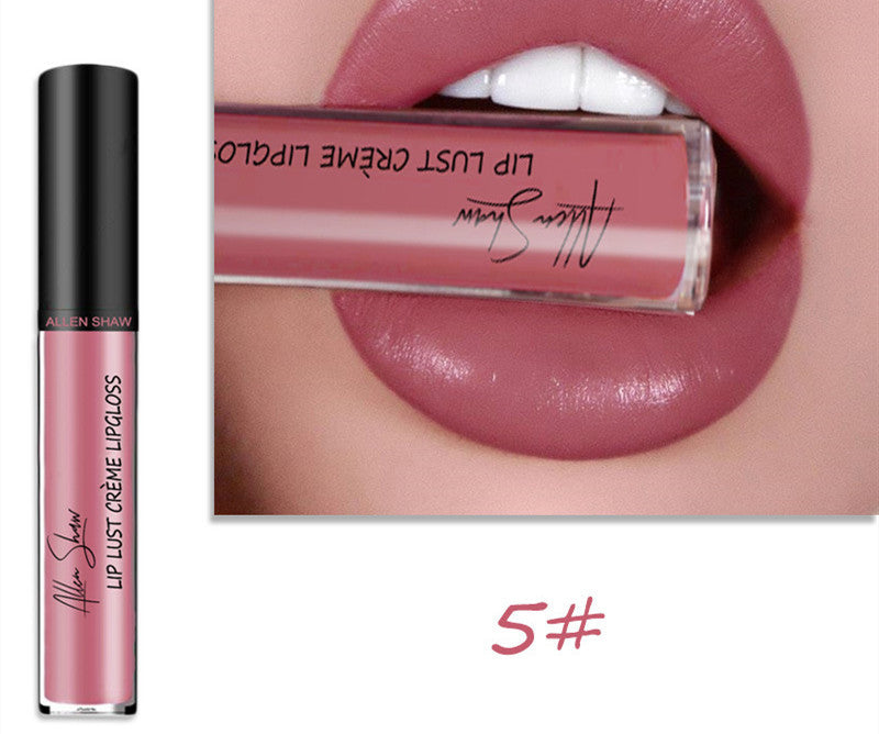 Silky Cream Lip Gloss – Cross-Border Exclusive 5 Color Infinite Avenue