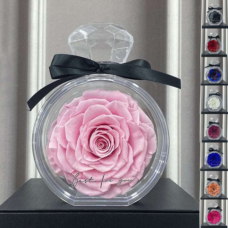 Natural Eternal Flower Ornaments Transparent Cover Dried Rose Gift Box For Christmas New Year Valentine's Day Home Decor Infinite Avenue