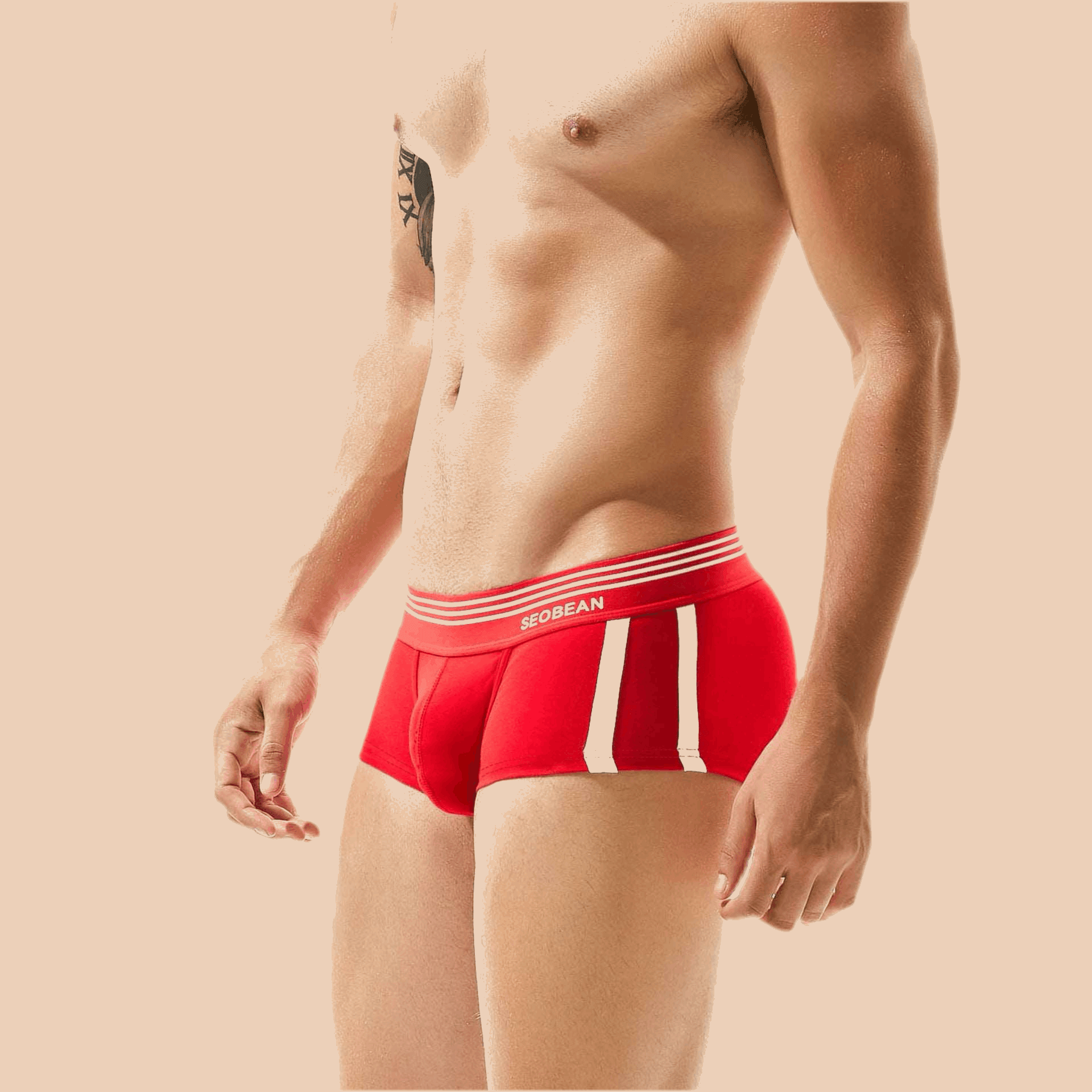 Men's Underwear Low Waist Cotton Boxer Briefs - Infinite Avenue