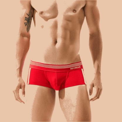 Men's Underwear Low Waist Cotton Boxer Briefs - Infinite Avenue