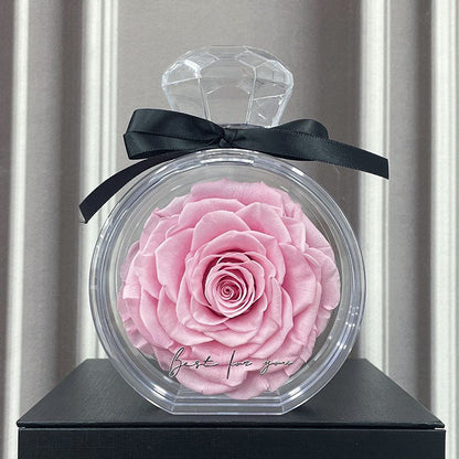 Natural Eternal Flower Ornaments Transparent Cover Dried Rose Gift Box For Christmas New Year Valentine's Day Home Decor Pink Infinite Avenue