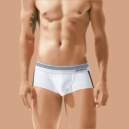 Men's Underwear Low Waist Cotton Boxer Briefs - Infinite Avenue