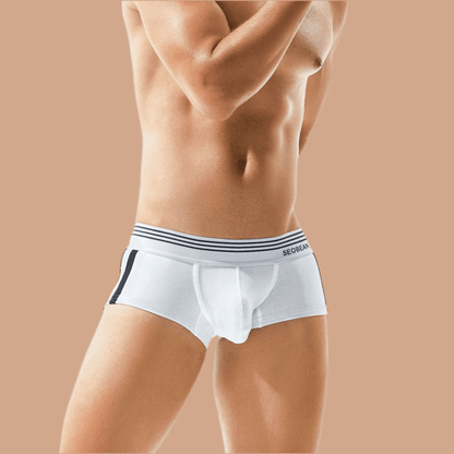 Men's Underwear Low Waist Cotton Boxer Briefs - Infinite Avenue