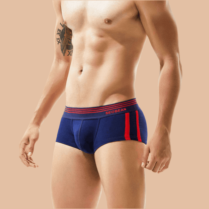 Men's Underwear Low Waist Cotton Boxer Briefs - Infinite Avenue