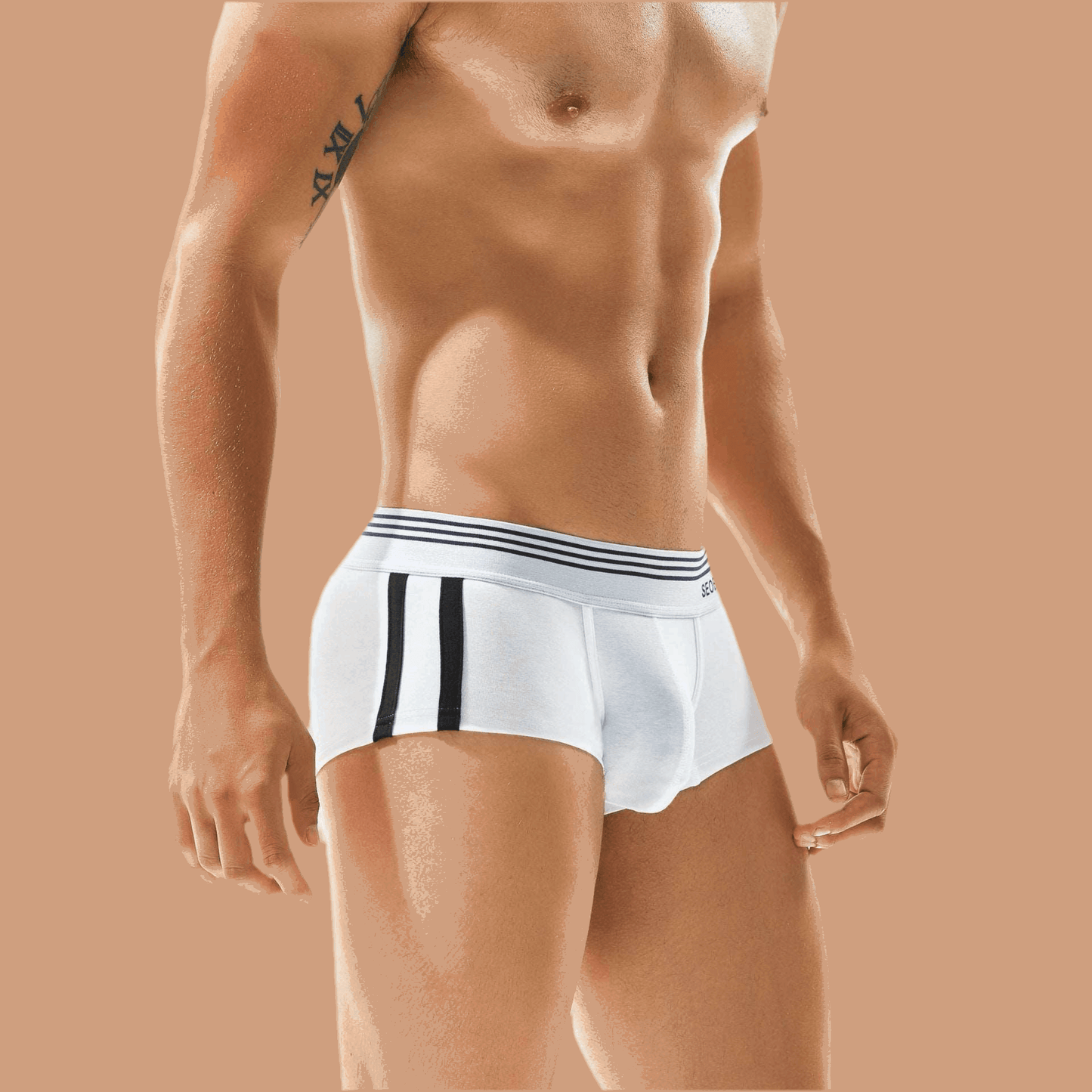 Men's Underwear Low Waist Cotton Boxer Briefs Infinite Avenue