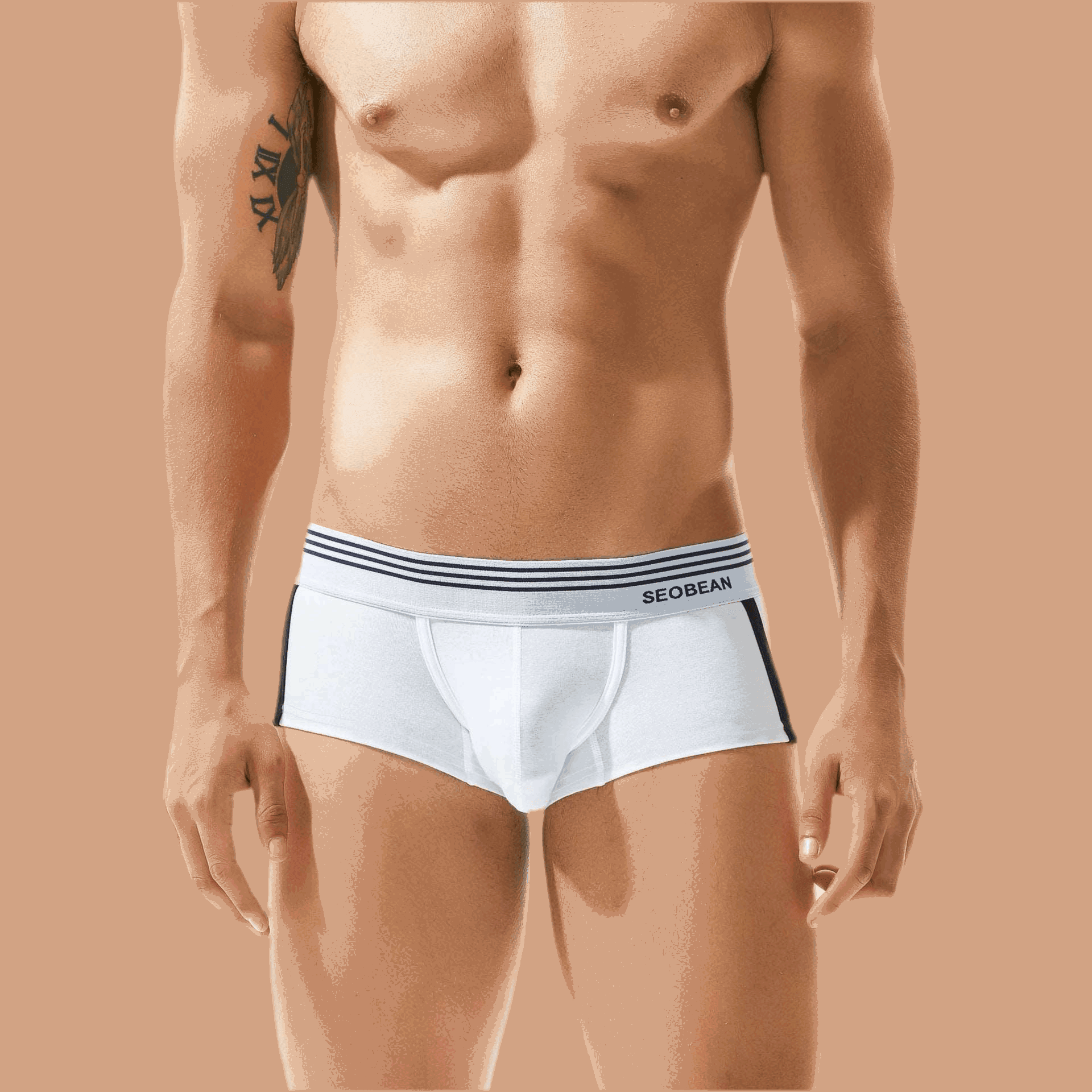 Men's Underwear Low Waist Cotton Boxer Briefs White Infinite Avenue