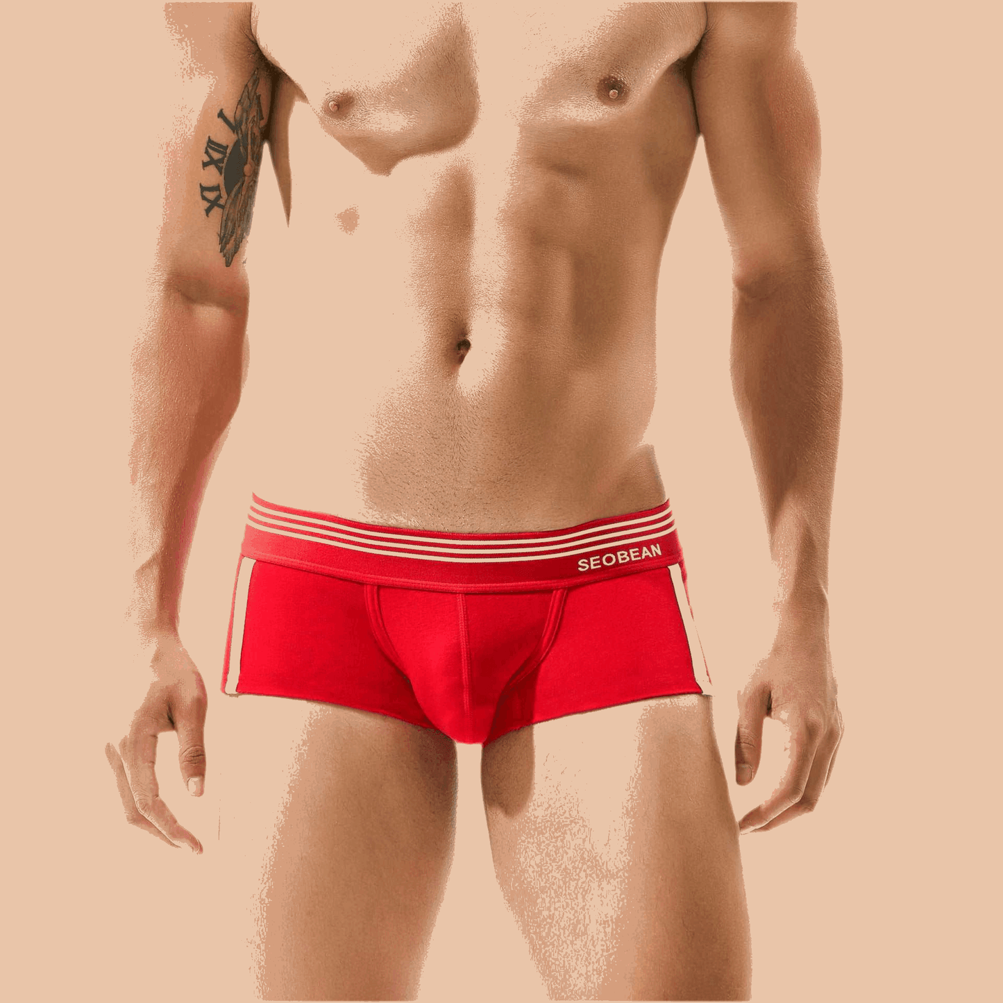 Men's Underwear Low Waist Cotton Boxer Briefs Red Infinite Avenue