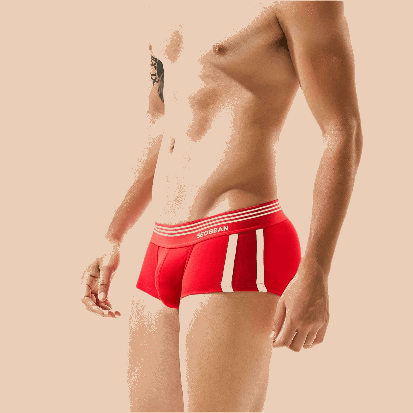 Men's Underwear Low Waist Cotton Boxer Briefs Infinite Avenue