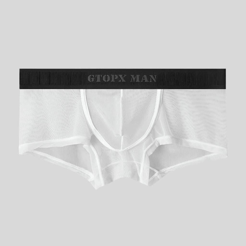 Transparent Ice Silk Low Waist Breathable Mesh Briefs White Infinite Avenue