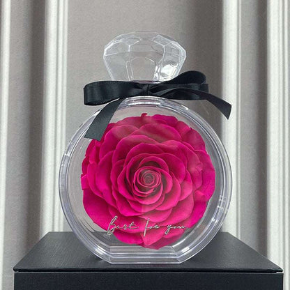 Natural Eternal Flower Ornaments Transparent Cover Dried Rose Gift Box For Christmas New Year Valentine's Day Home Decor Freud Infinite Avenue