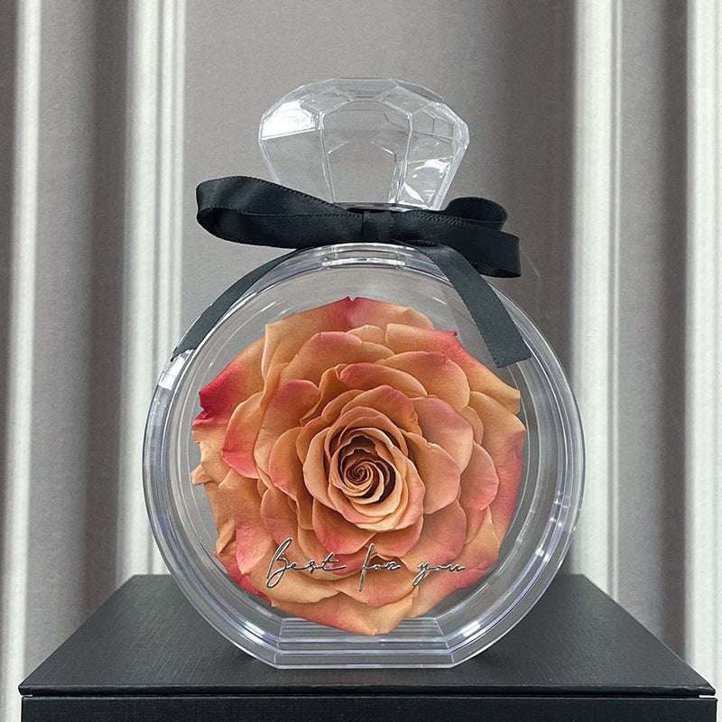 Natural Eternal Flower Ornaments Transparent Cover Dried Rose Gift Box For Christmas New Year Valentine's Day Home Decor Maillard Infinite Avenue