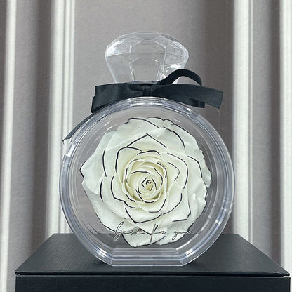 Natural Eternal Flower Ornaments Transparent Cover Dried Rose Gift Box For Christmas New Year Valentine's Day Home Decor White Infinite Avenue