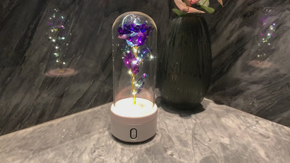 Creative 2 In 1 Rose Flowers LED Light And Bluetooth-compatible Speaker Valentine's Day Gift Rose Luminous Night Light Ornament In Glass Cover