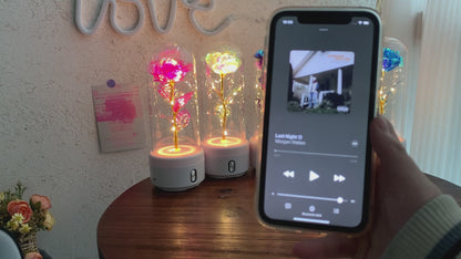 Creative 2 In 1 Rose Flowers LED Light And Bluetooth-compatible Speaker Valentine's Day Gift Rose Luminous Night Light Ornament In Glass Cover